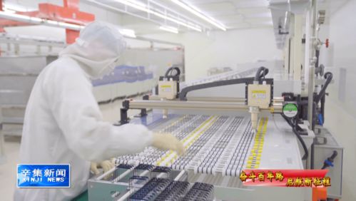 科技引領未來，創新驅動發展 計算機技術開發的浪潮與方向